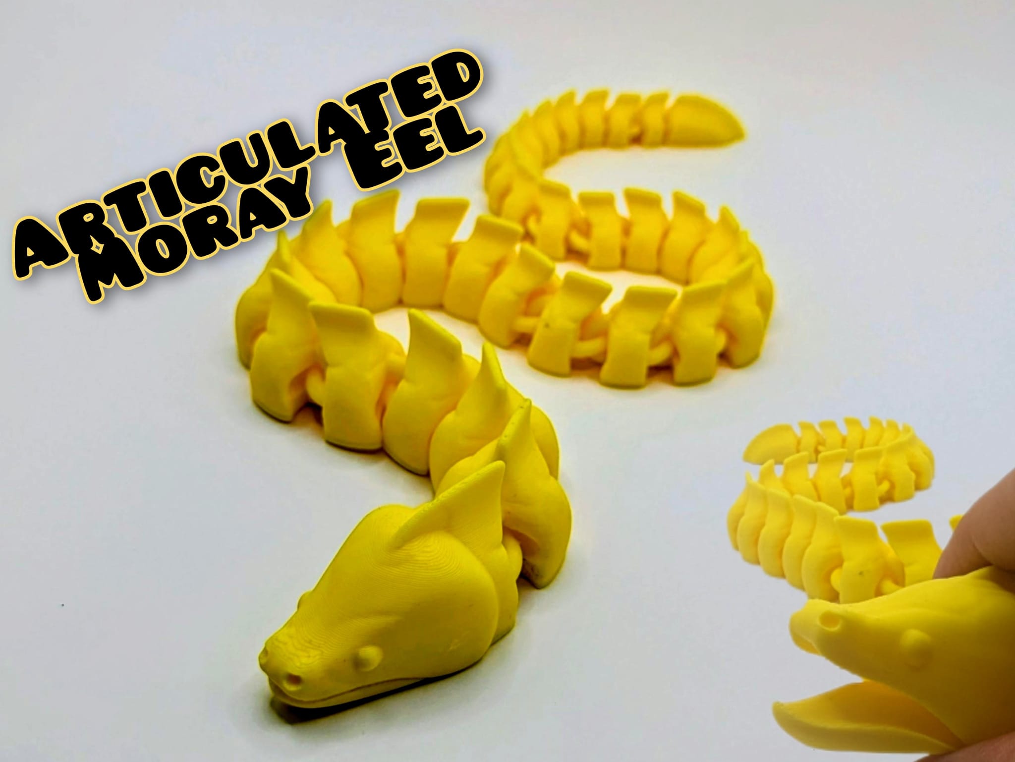 Articulated Moray Eel