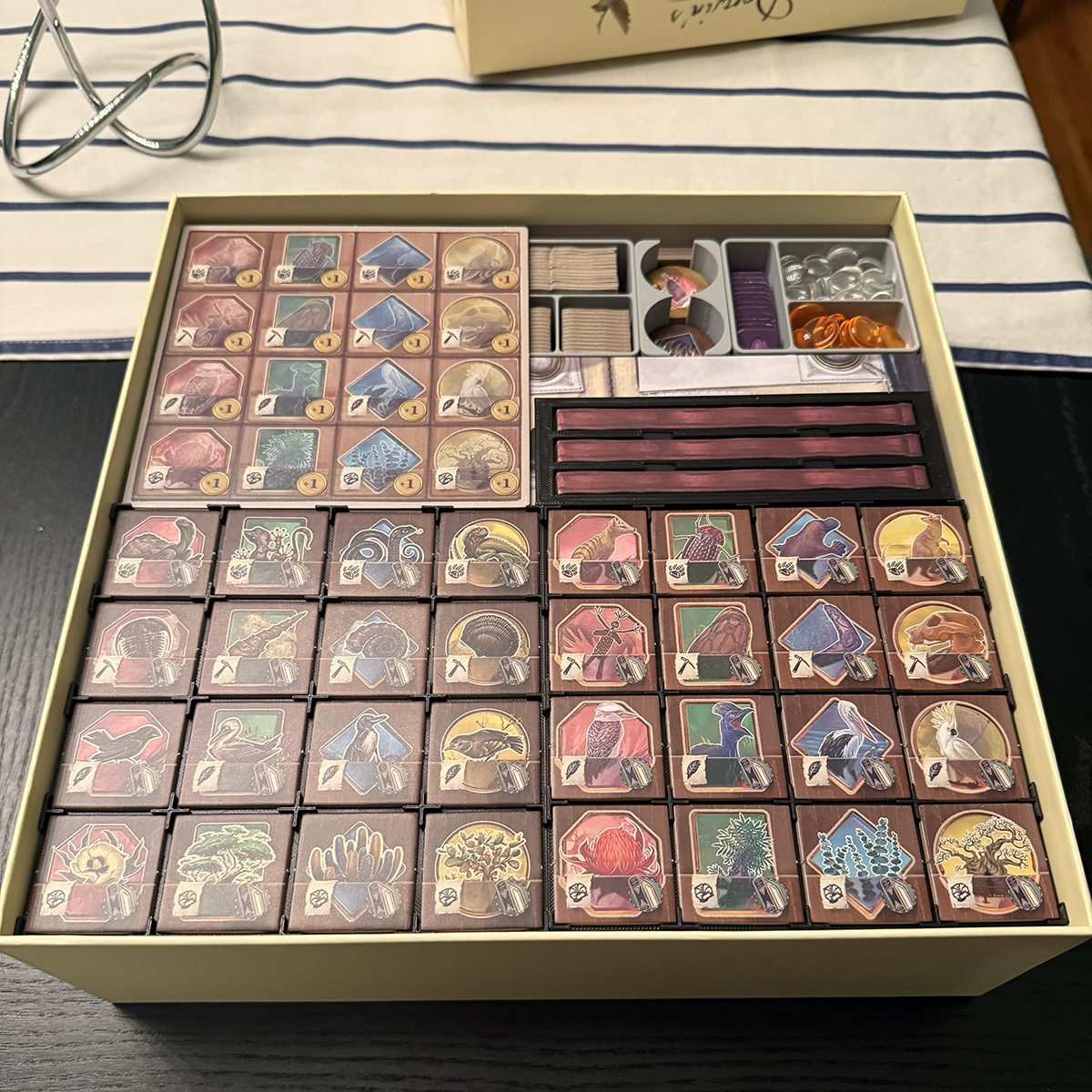Darwin's Journey game organizer with all expansions