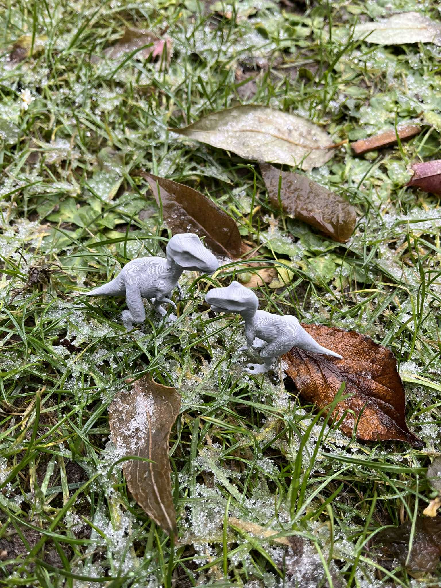 Dinosaur raptor — miniatura 3