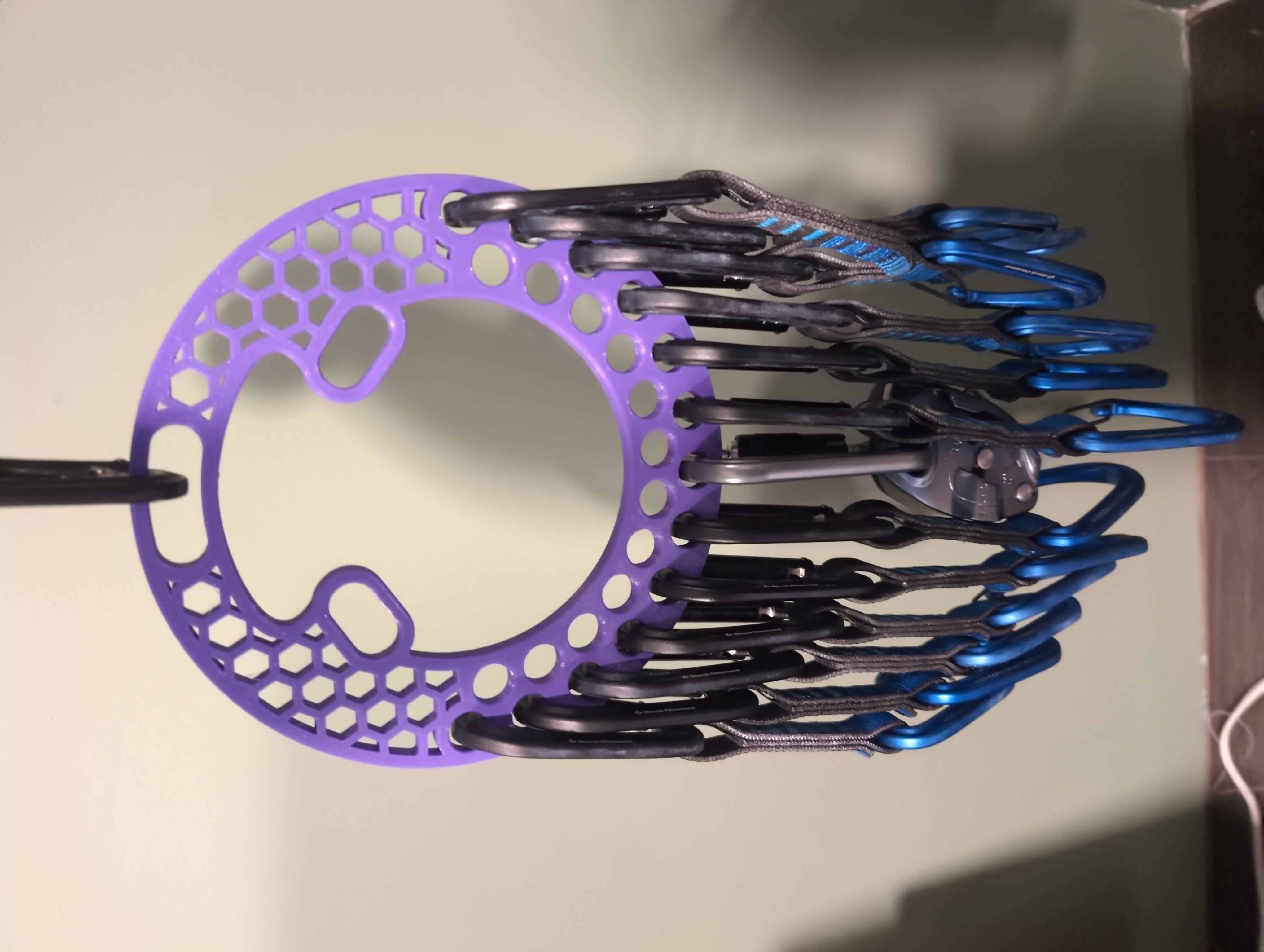 Climbing gear organizer