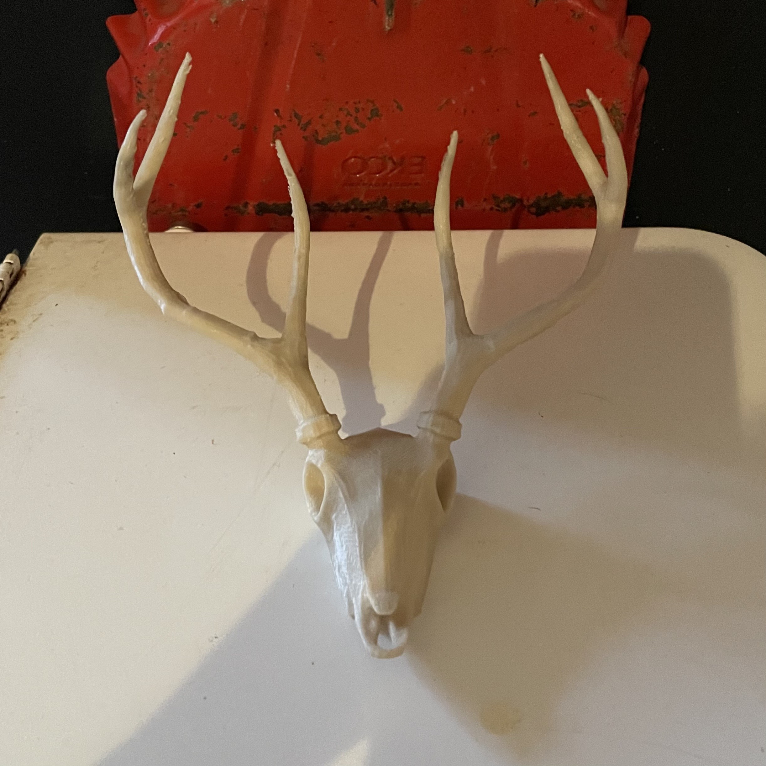 Mini Deer Skull/Jackelope fridge magnet (7) 5x2 mm magnets
