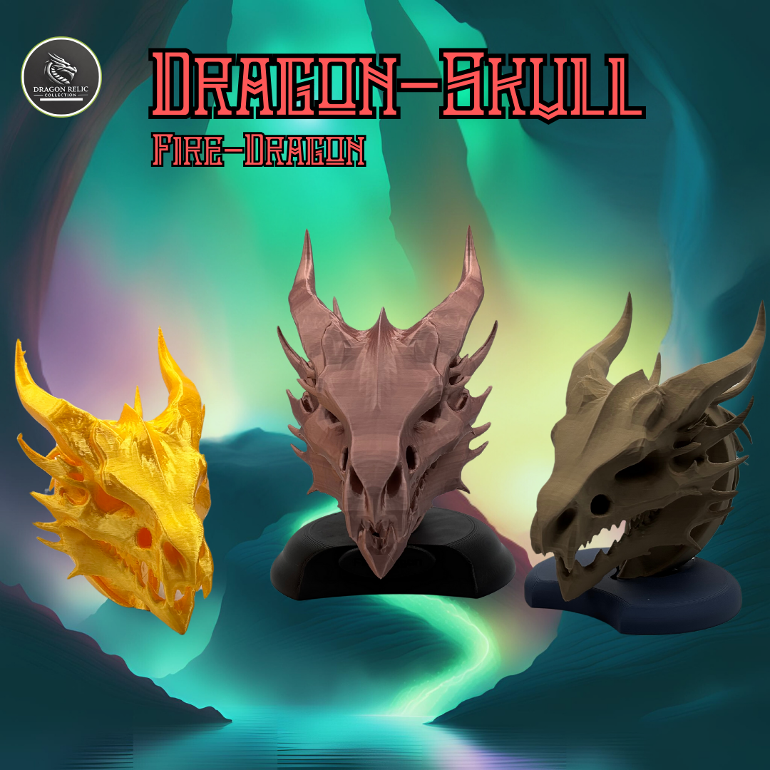 Drachen Schädel / Dragon Skull