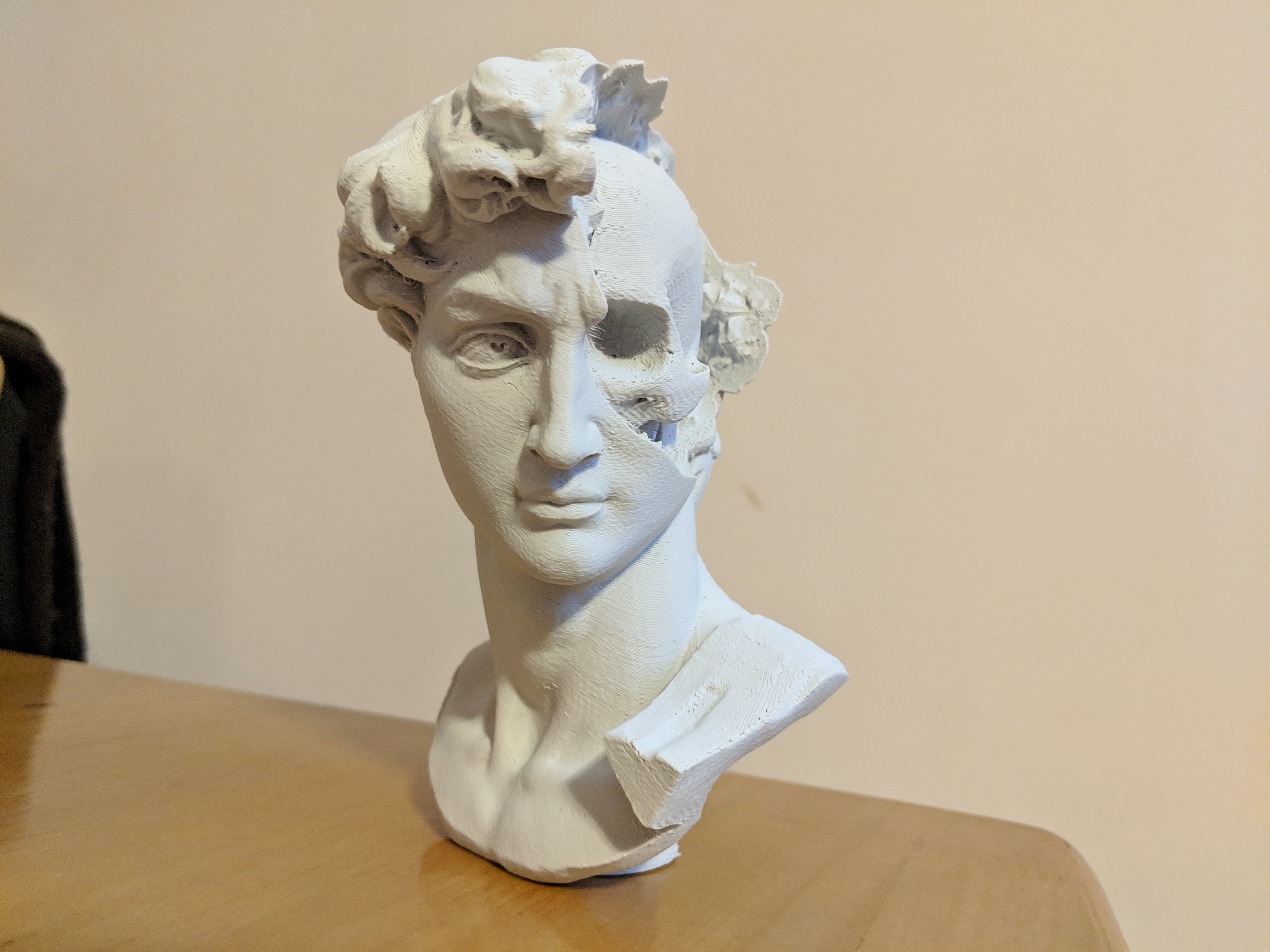 David's Cranium