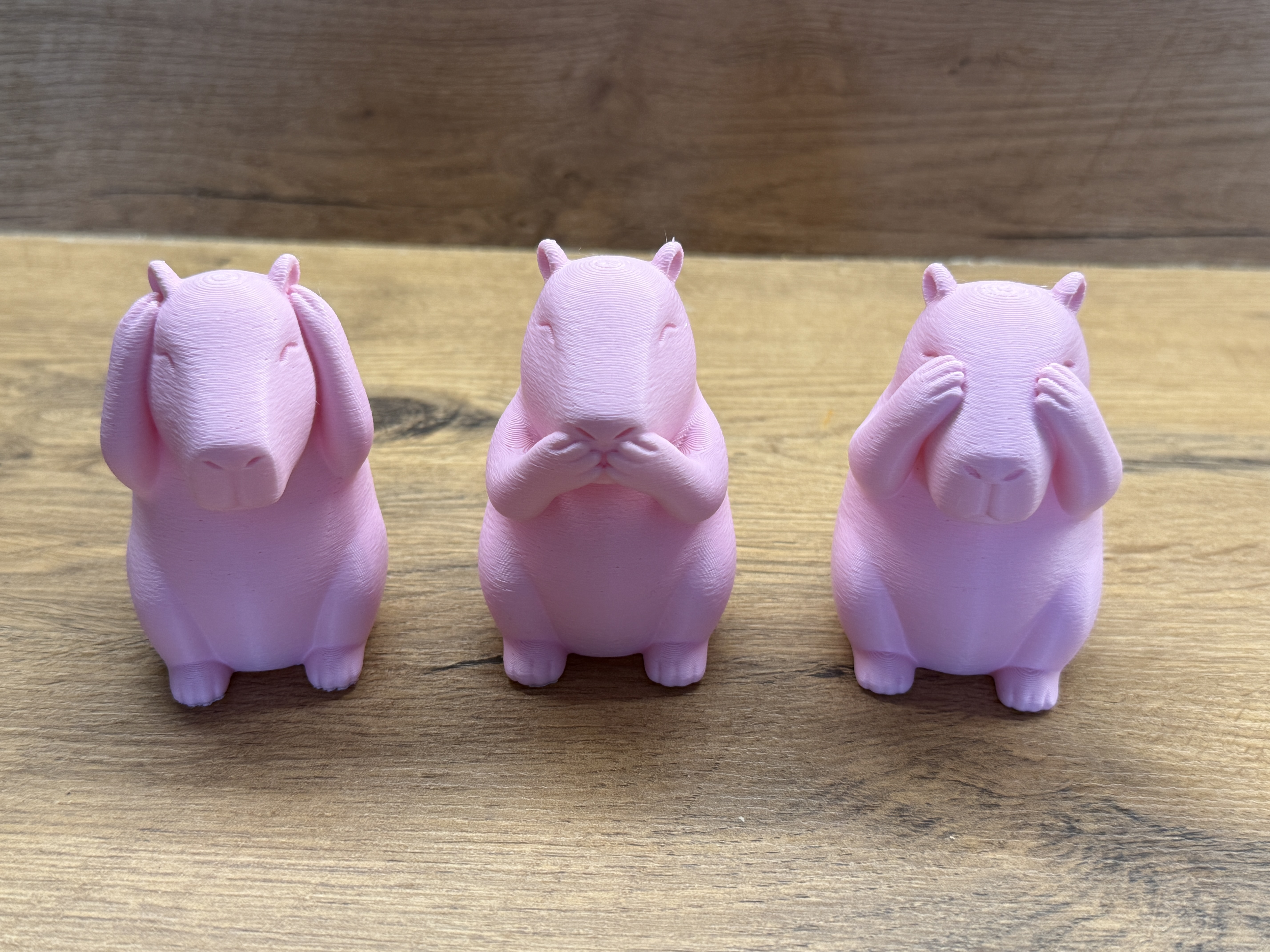 Capybara Trio – See No Evil, Hear No Evil, Speak No Evil