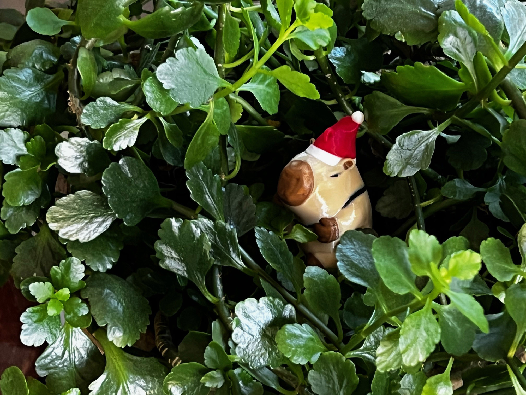 Santipaw the Christmas Capybara Ornament Figurine — thumbnail 5