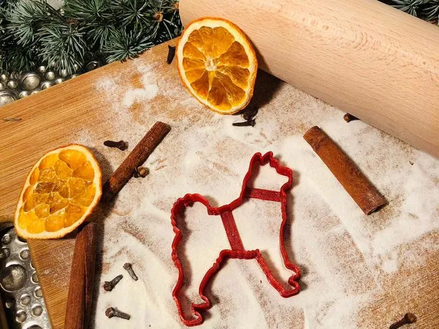 Shiba coockie cutter