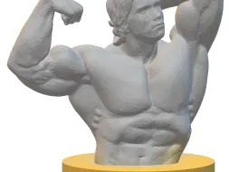 Arnold Schwarzenegger - Busta