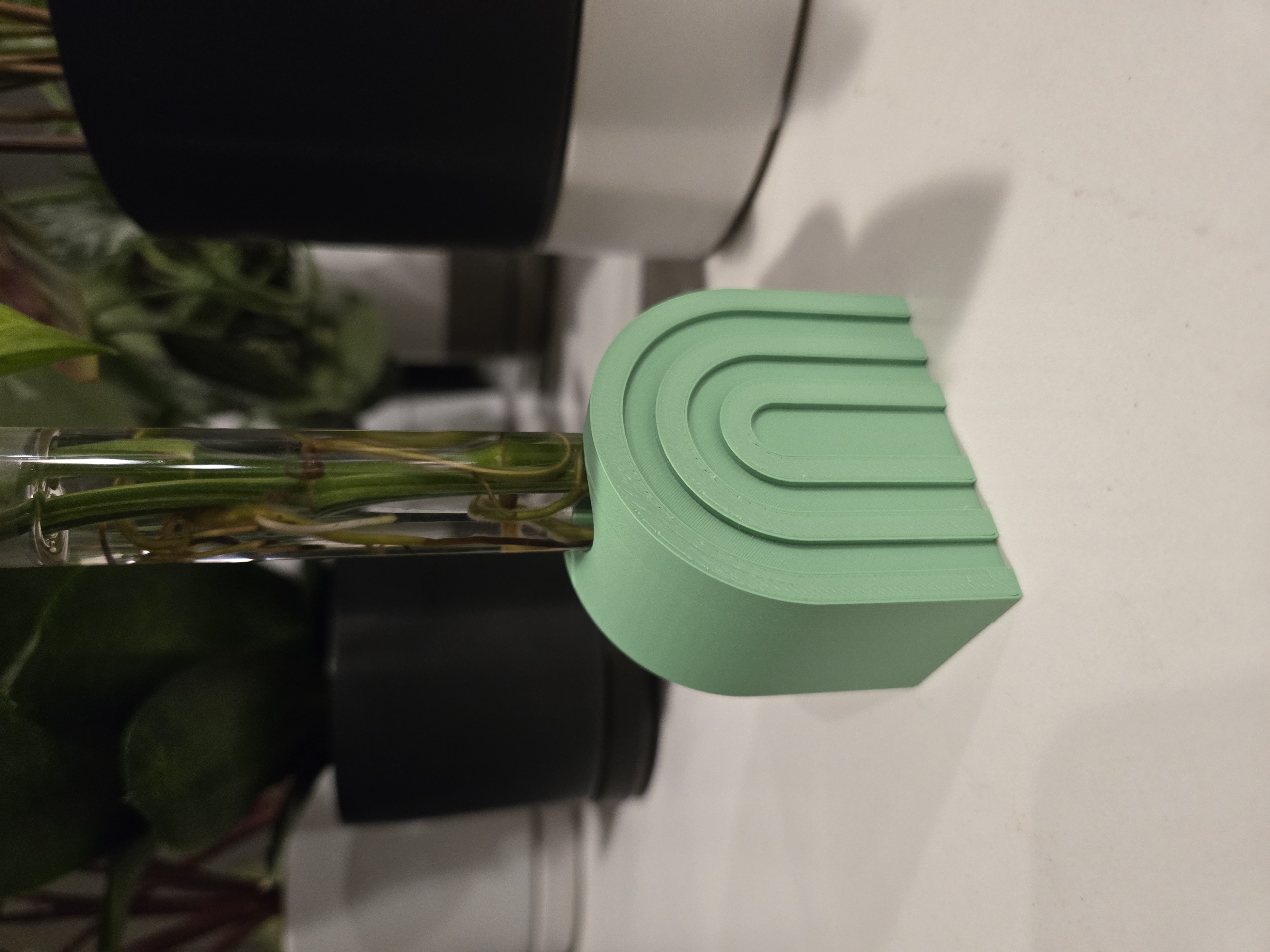 Modern Arch Plant Propagation Station