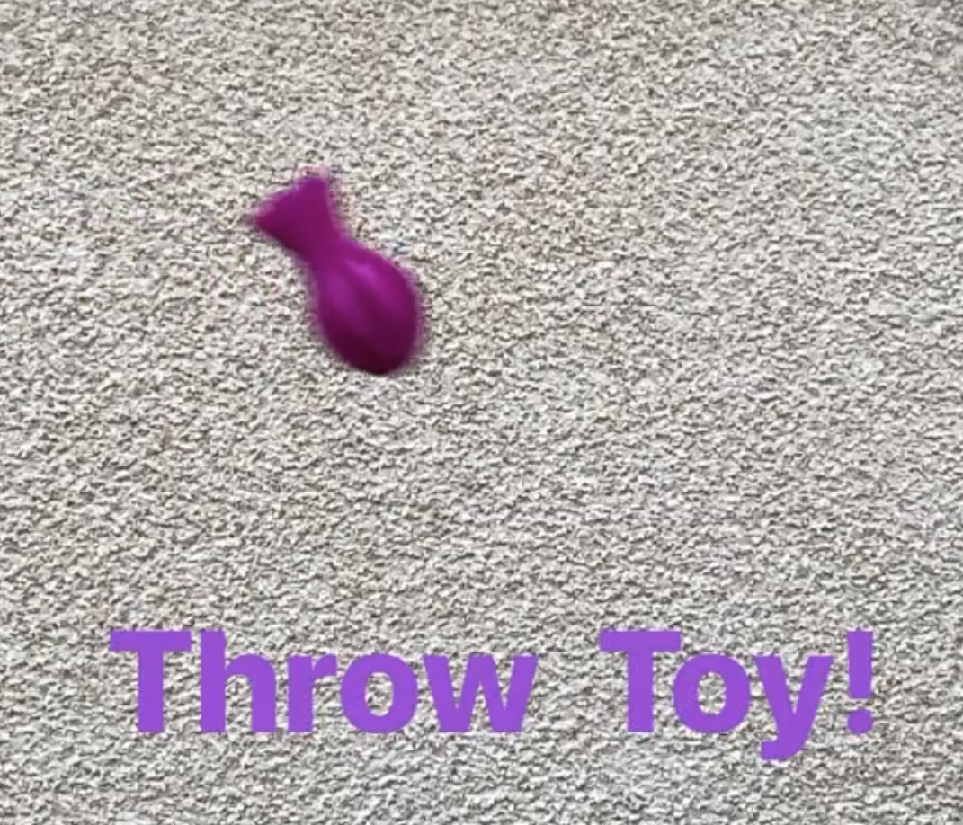 Throw Toy — miniatura 2
