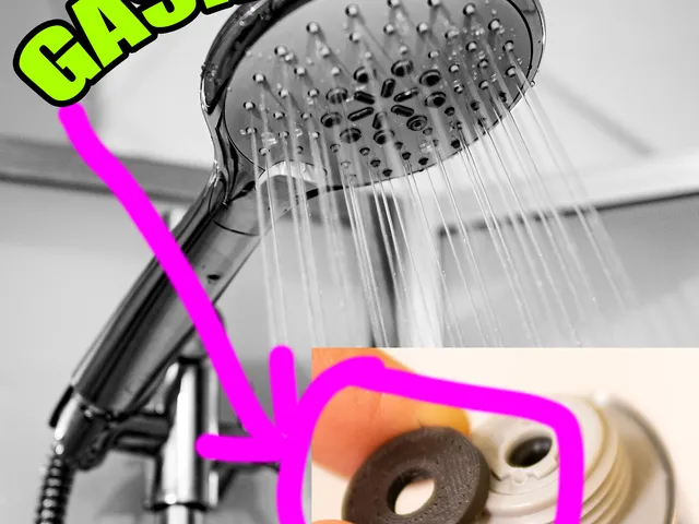Shower head gasket