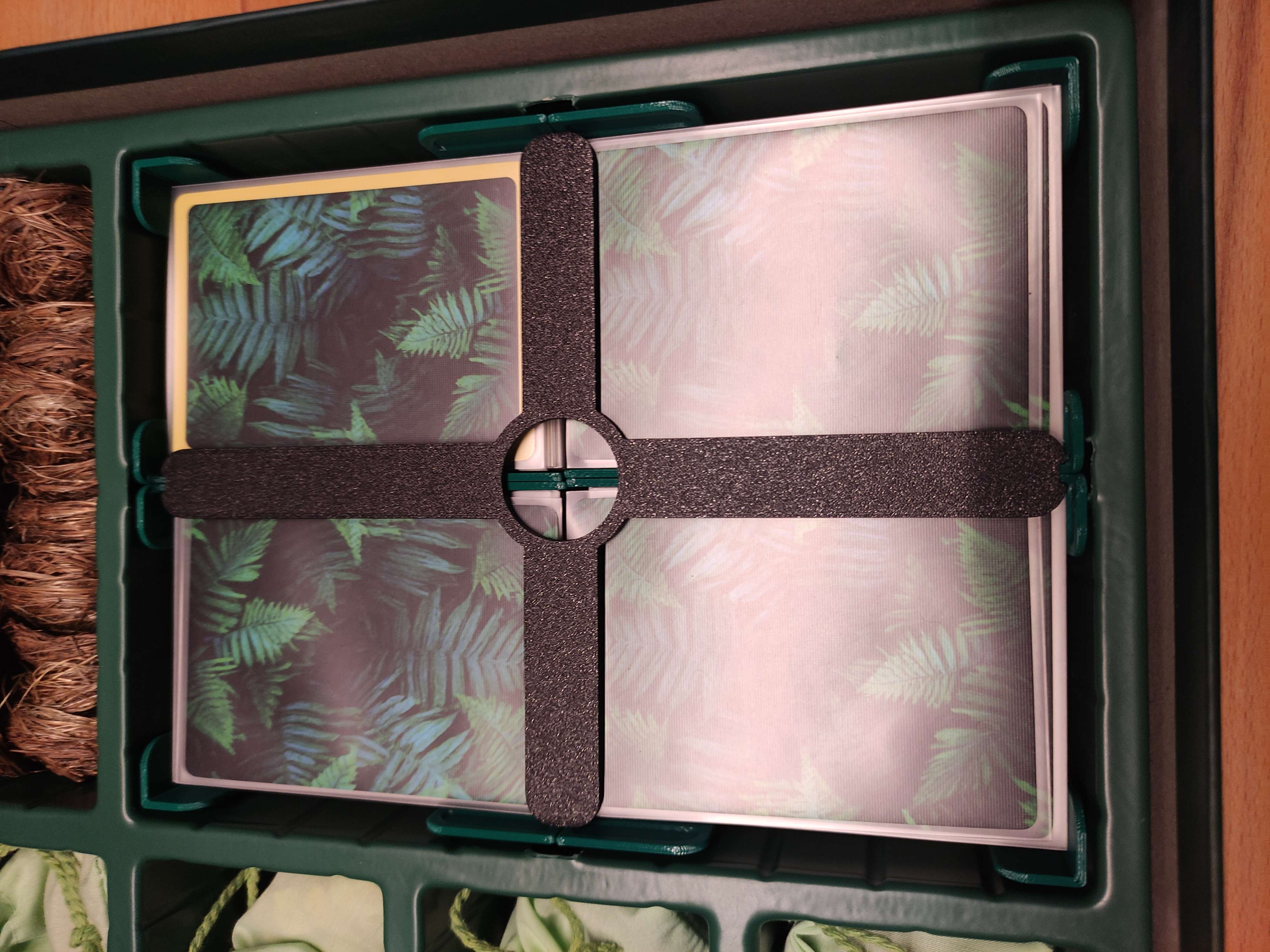 Biome (Standard version) - Insert that fits sleeved cards