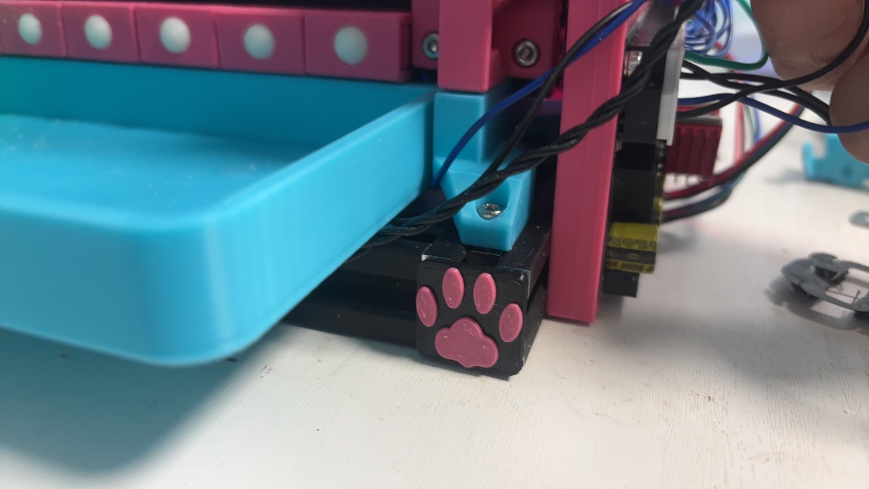 2020_endcap_cat paw and head