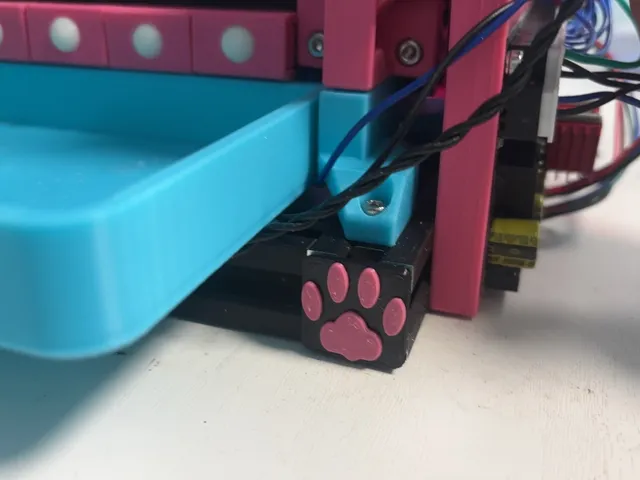 2020_endcap_cat paw and head