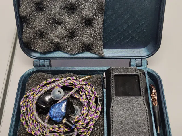 OpenSCAD Parametric customizable IEM + DAC storage case