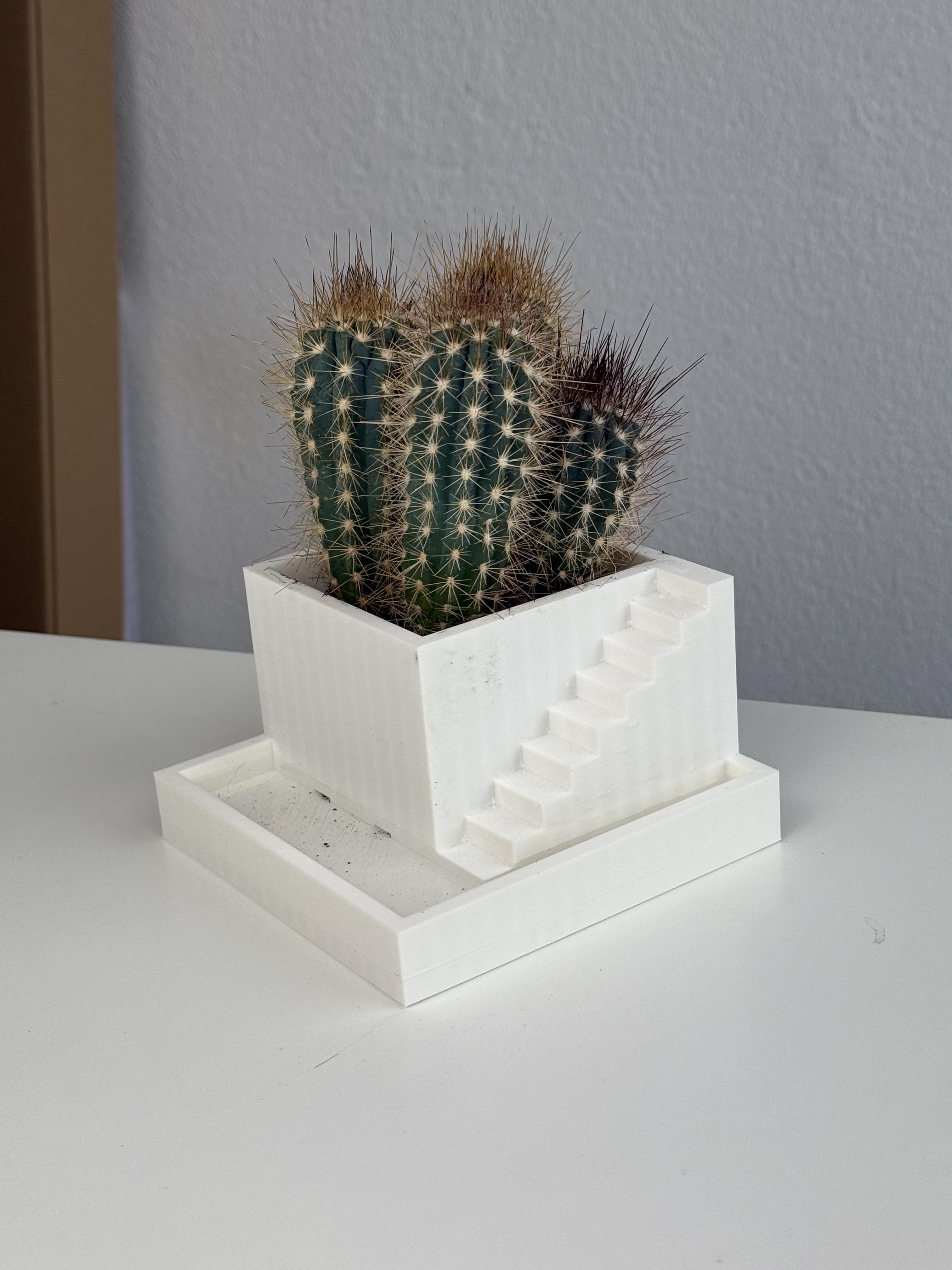 Steps Planter / Cactus Pot