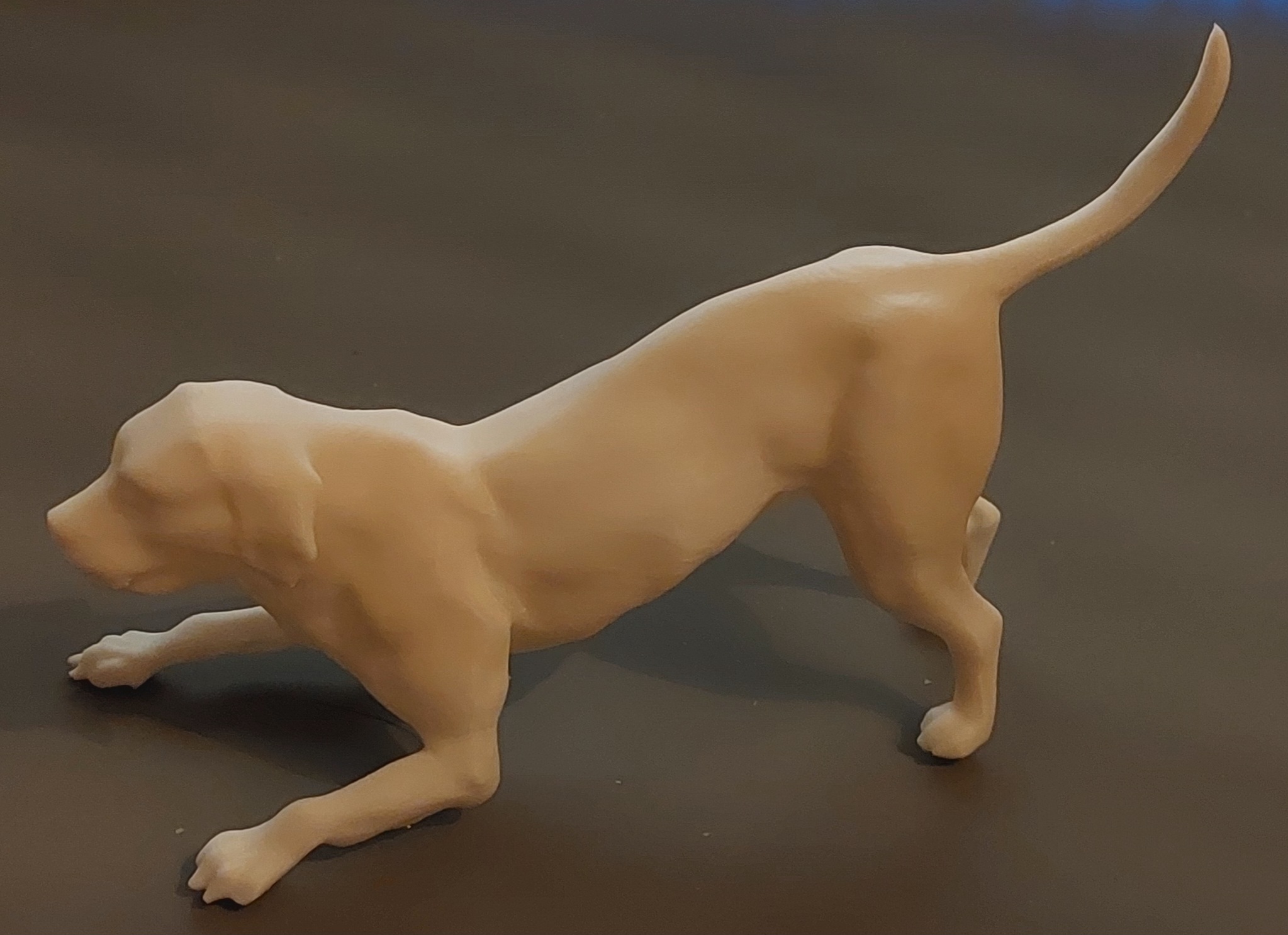 Playfull dog