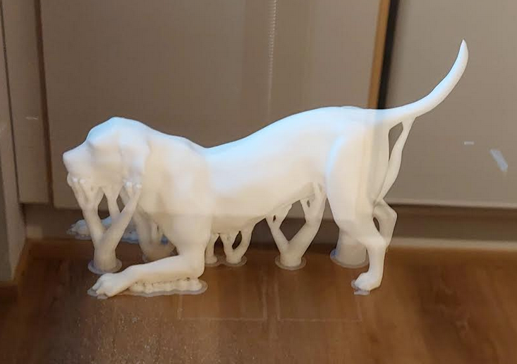 Playfull dog — miniatura 3