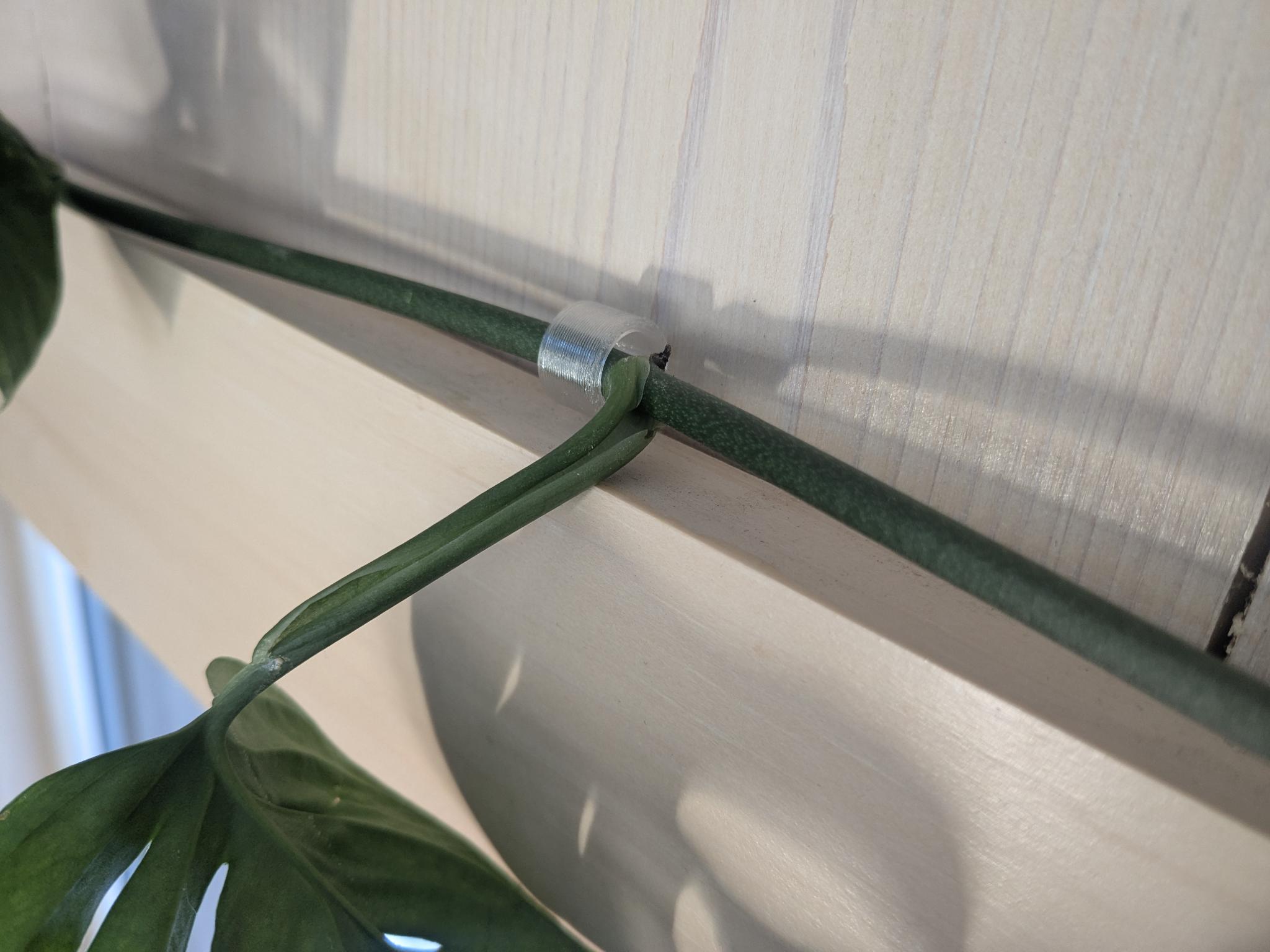Slide-behind-trim plant hook