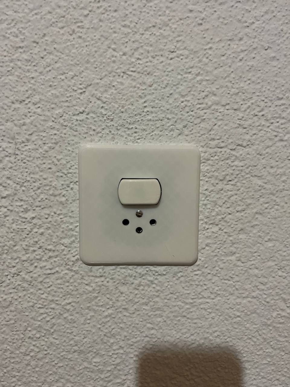 Swiss Schweiz Switzerland light switch with power socket