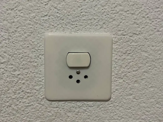 Swiss Schweiz Switzerland light switch with power socket