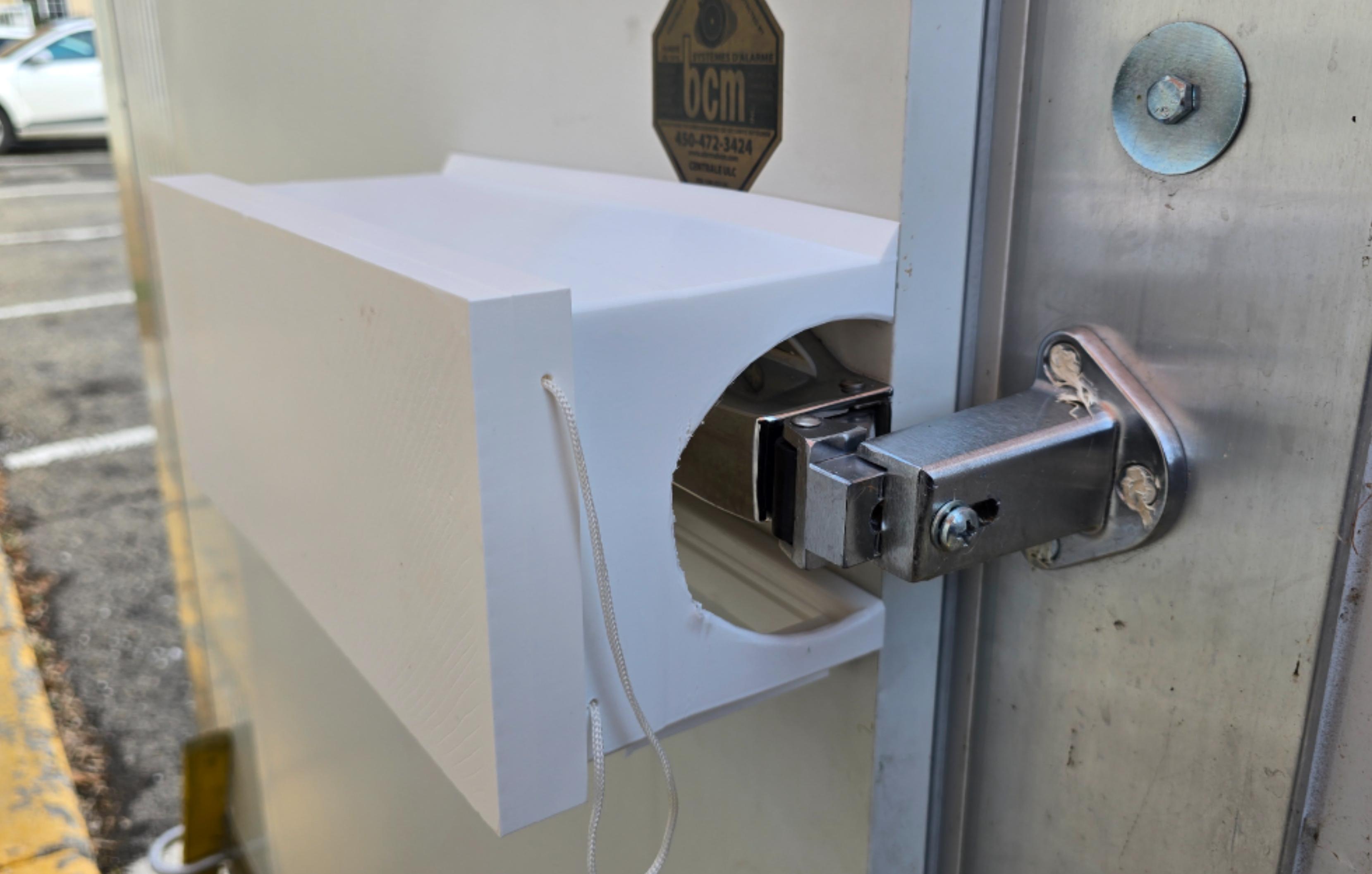 Walk-in freezer handle and lock protector