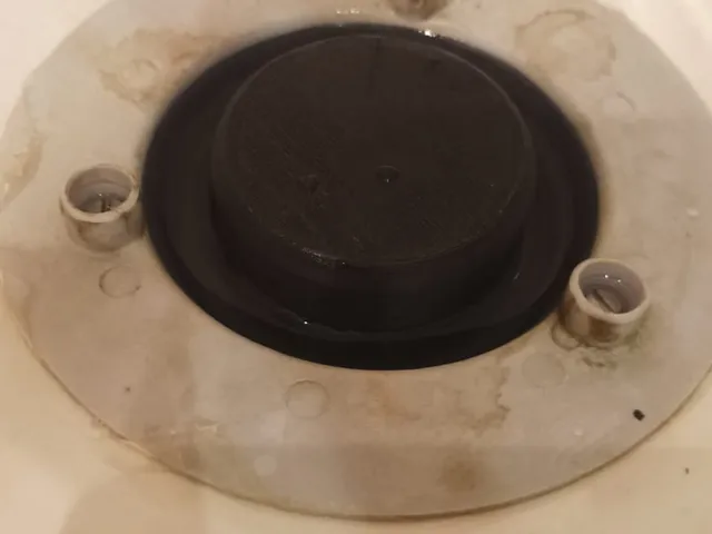 Shower trap cap
