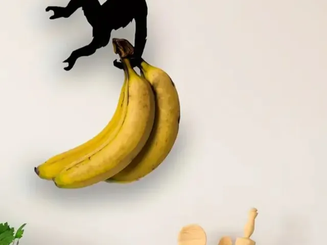 Monkey hook