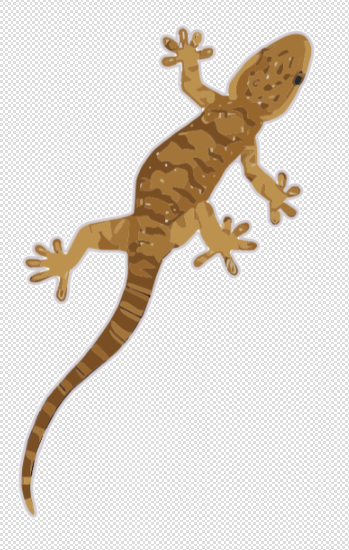 lizard flexi