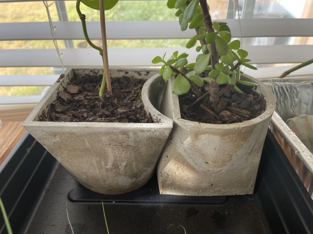 Flower Pots and Molds - "Whole Pieces"