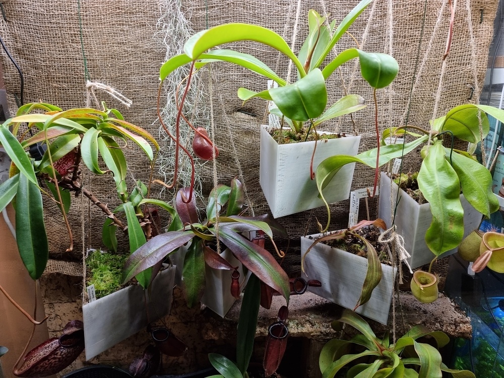 Pots — miniatura 5