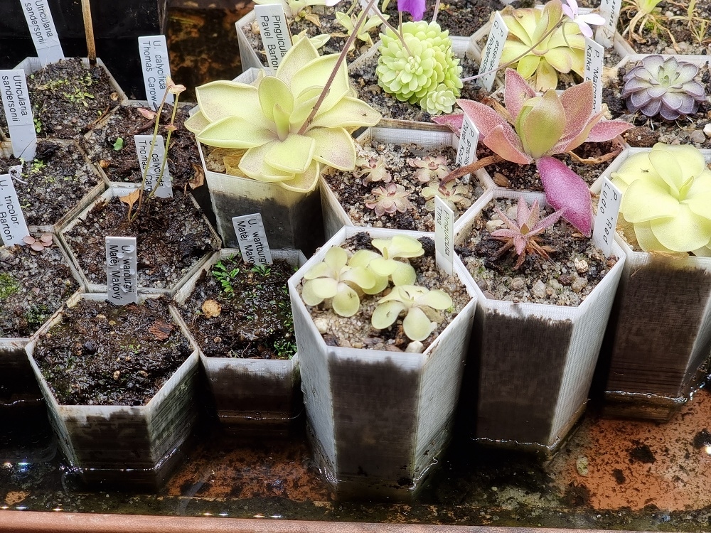 Pots — miniatura 6