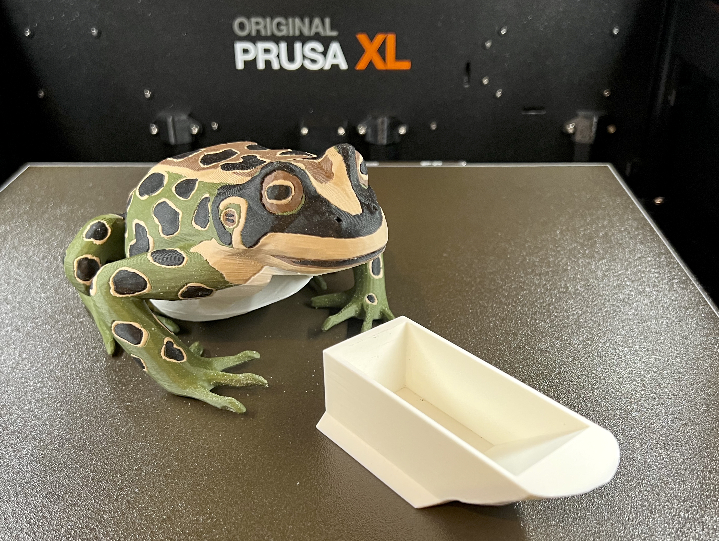 Multi-material Frog with Drawer