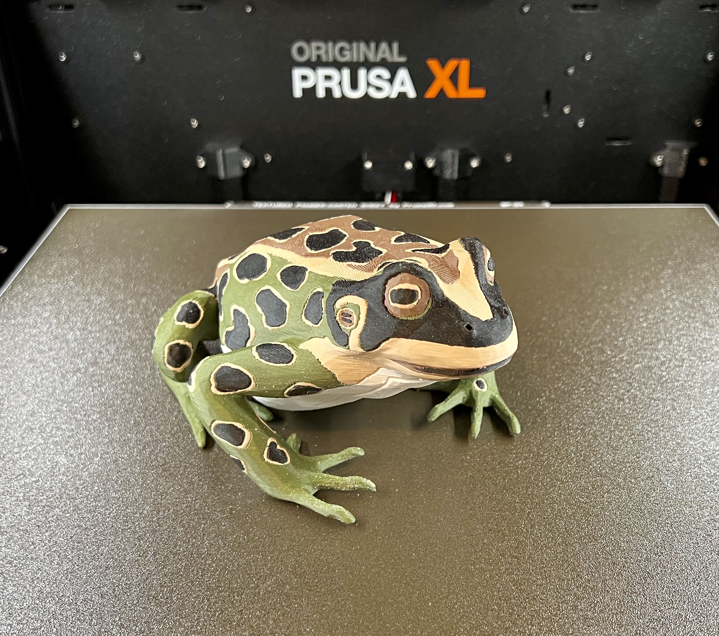 Miniatura 4 do modelo 3D Multi-material Frog with Drawer