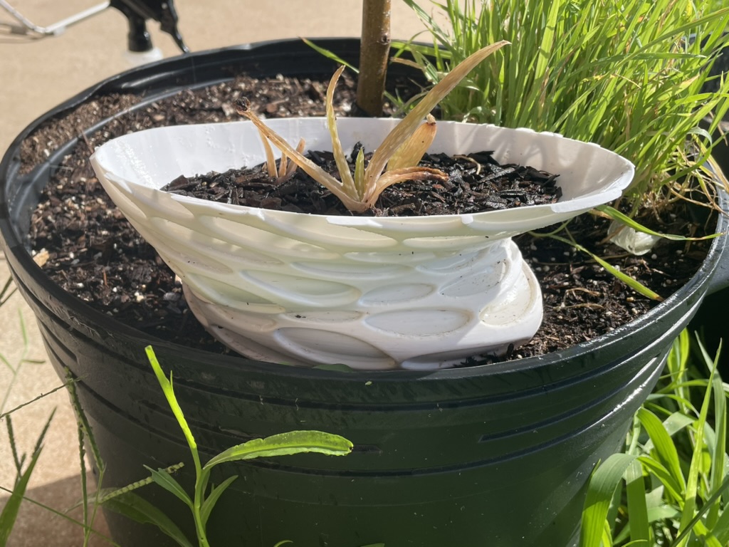 Ellipse Pot — miniatura 5