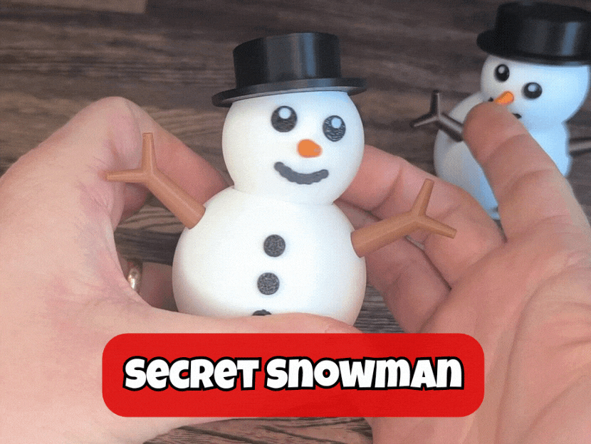 Snowman with Secret