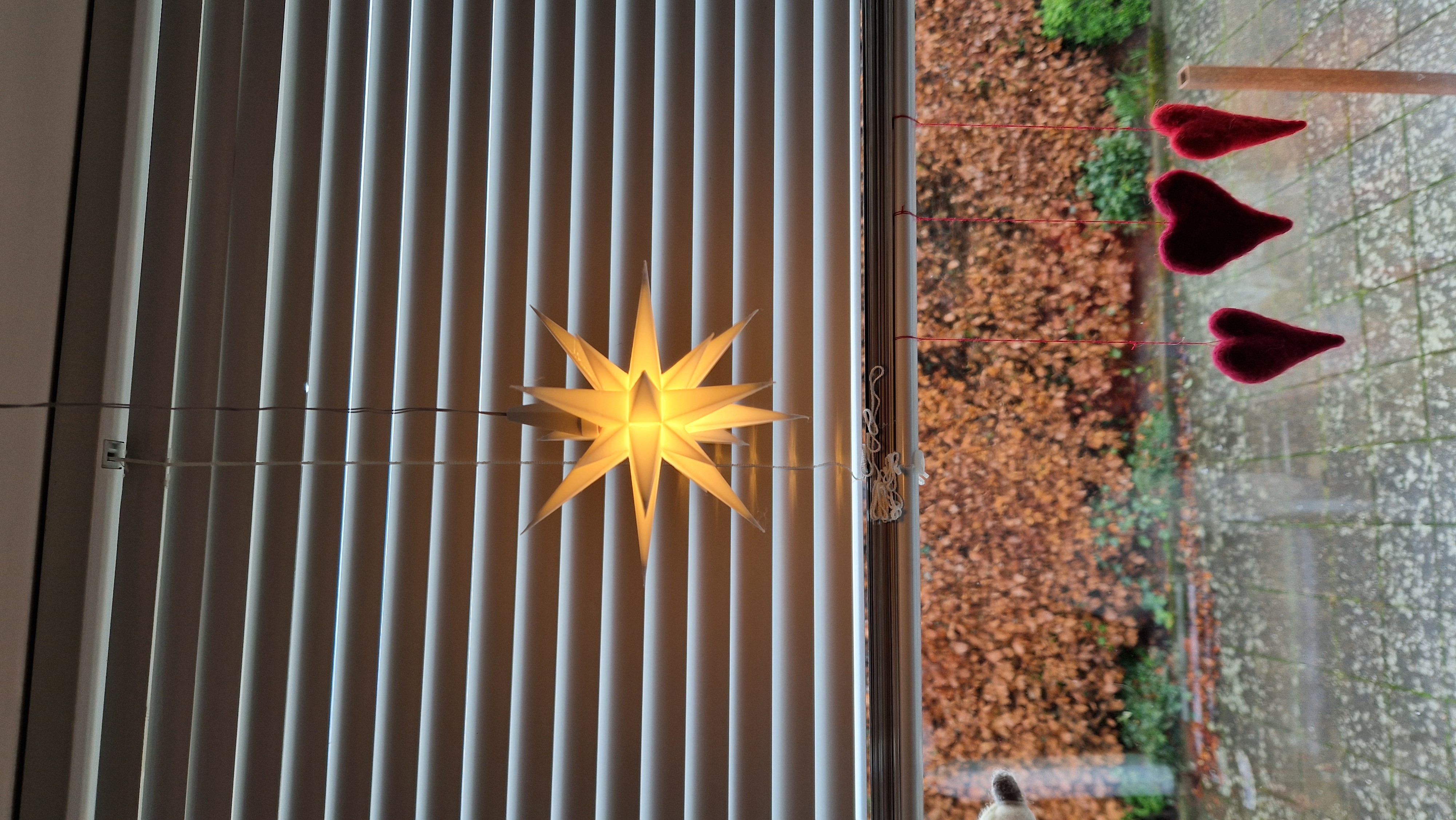 North Star — miniatura 4