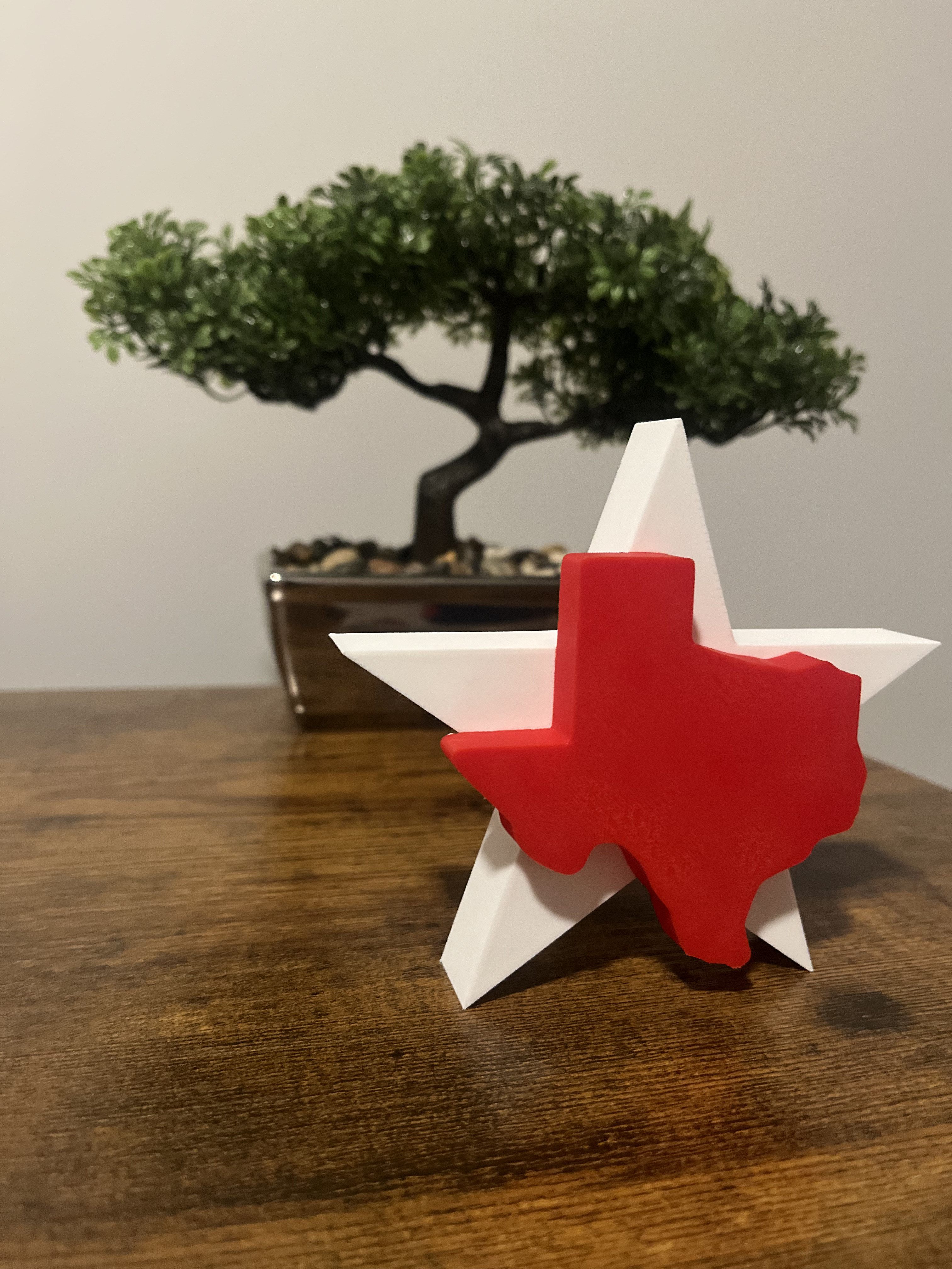Texas State Star