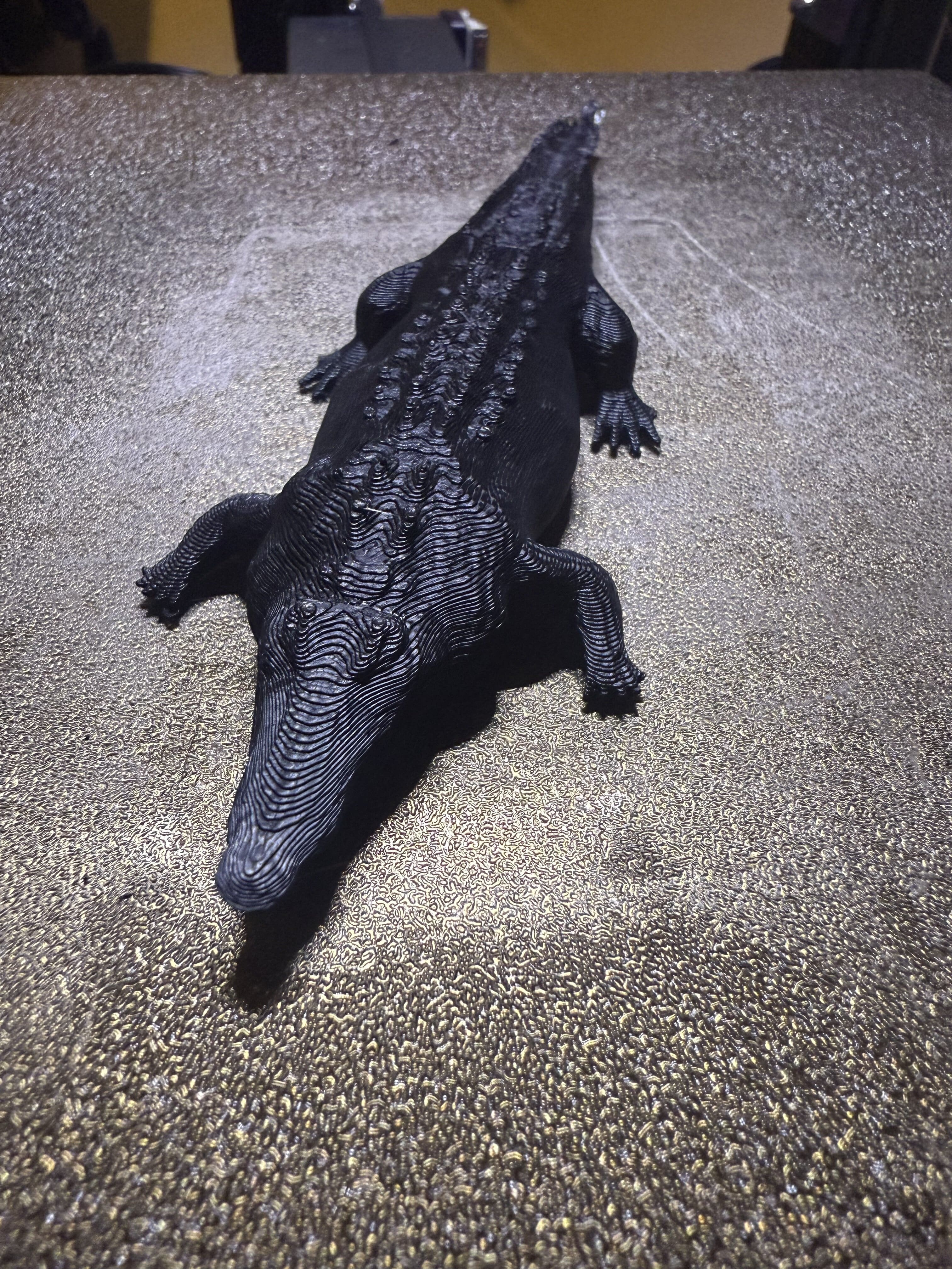 crocodile