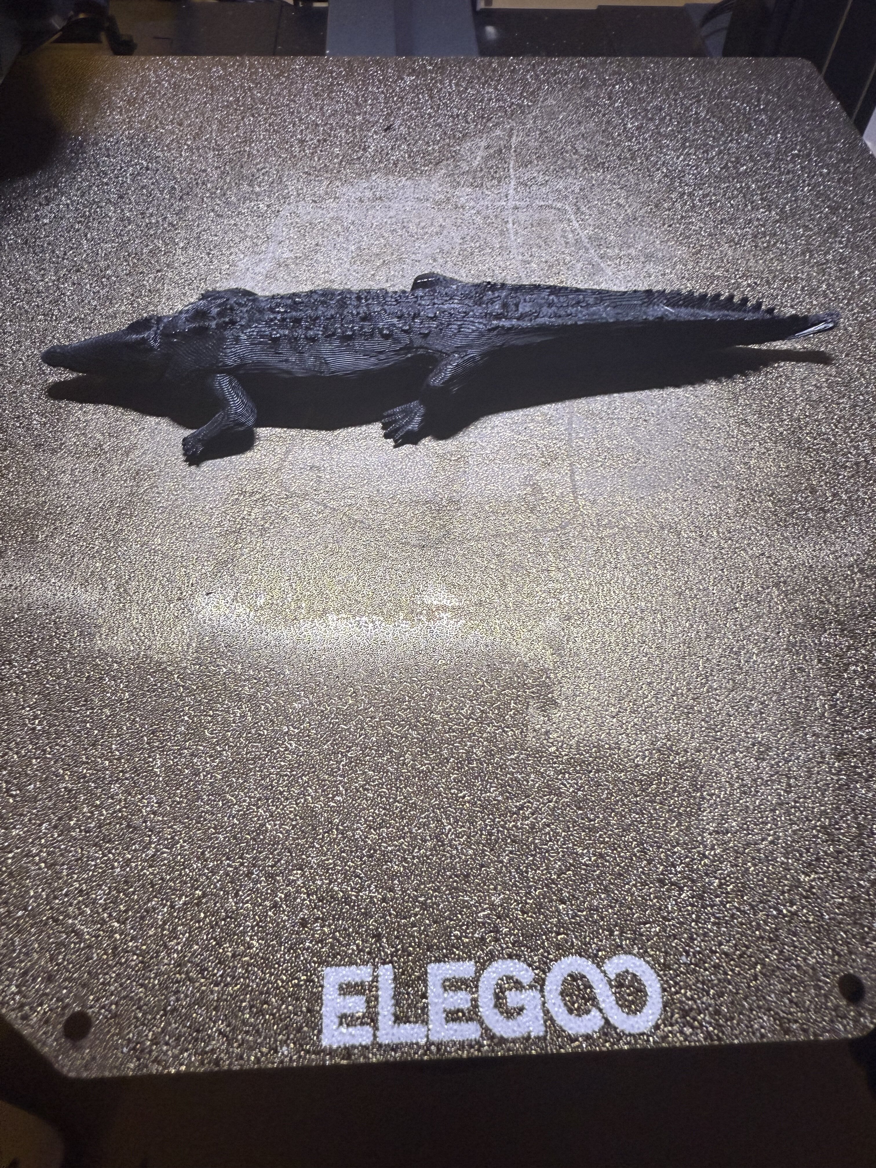 crocodile — thumbnail 2