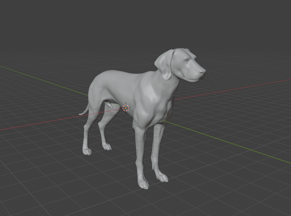 Vizsla dog