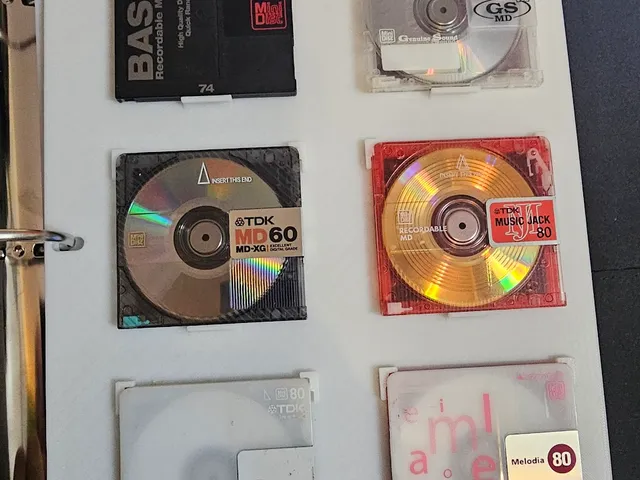 Minidisc 3-Ring Binder Page