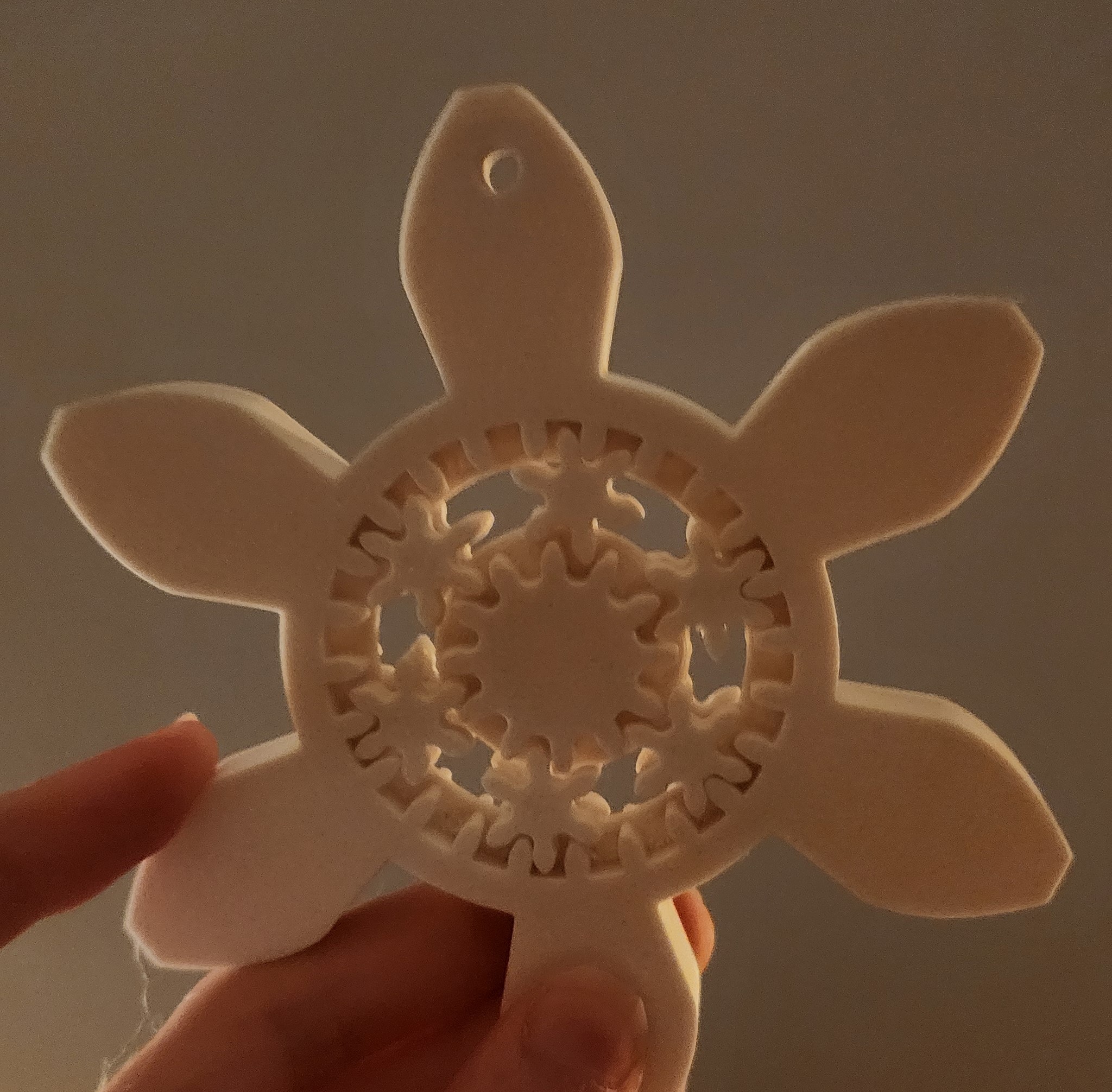 Planetary Snowflake