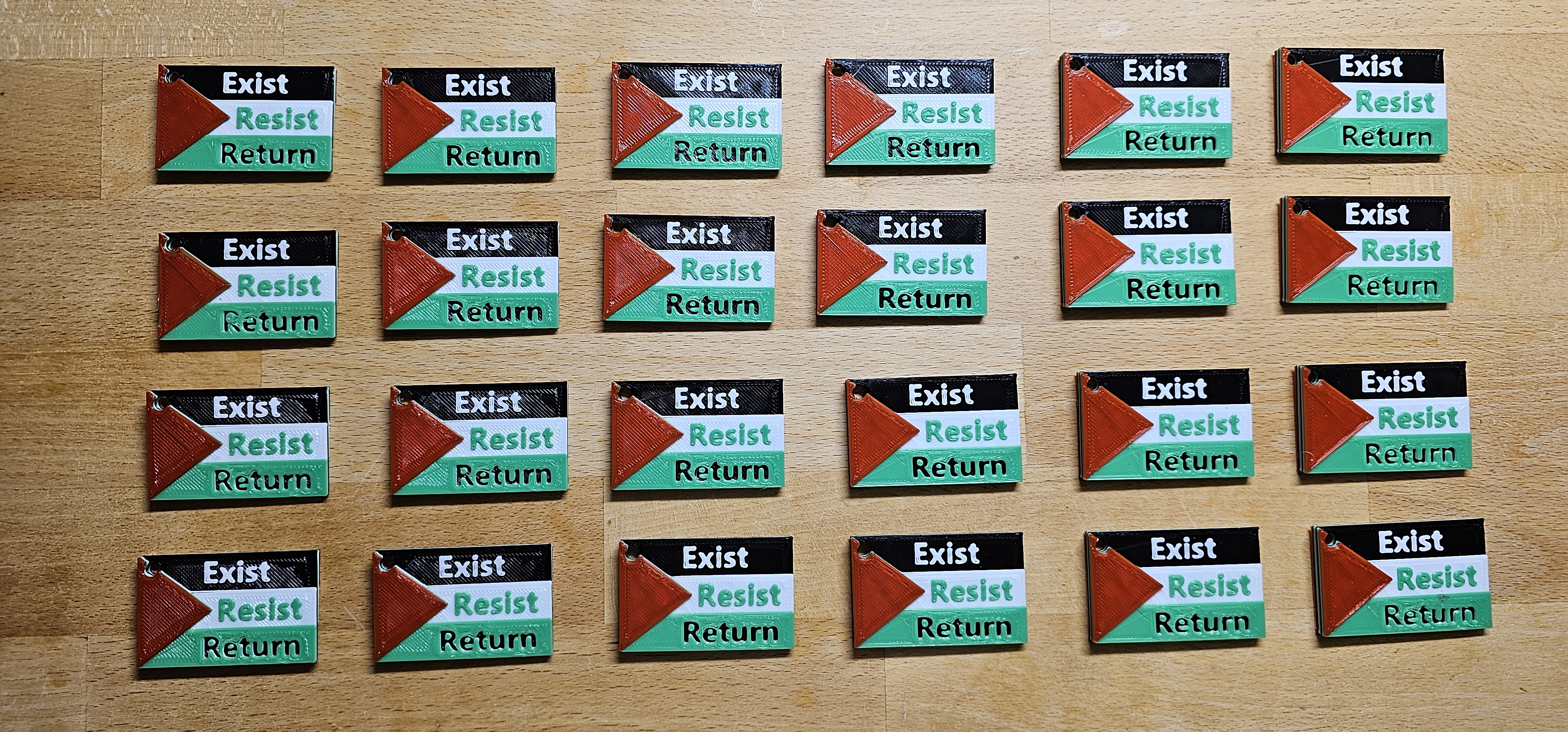 Palestine flag with text