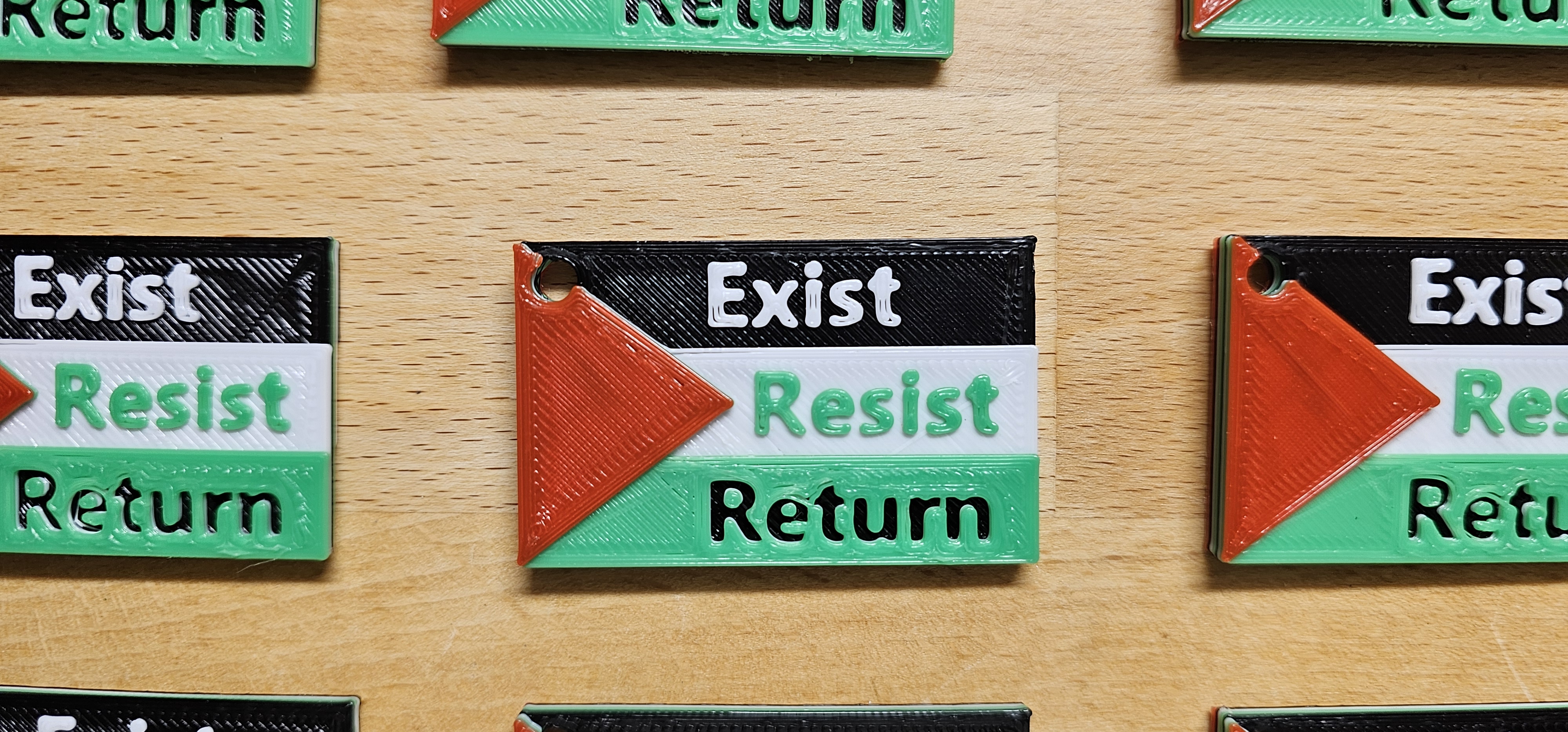 Palestine flag with text — miniatura 2
