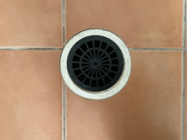 Bathroom Drain Cover