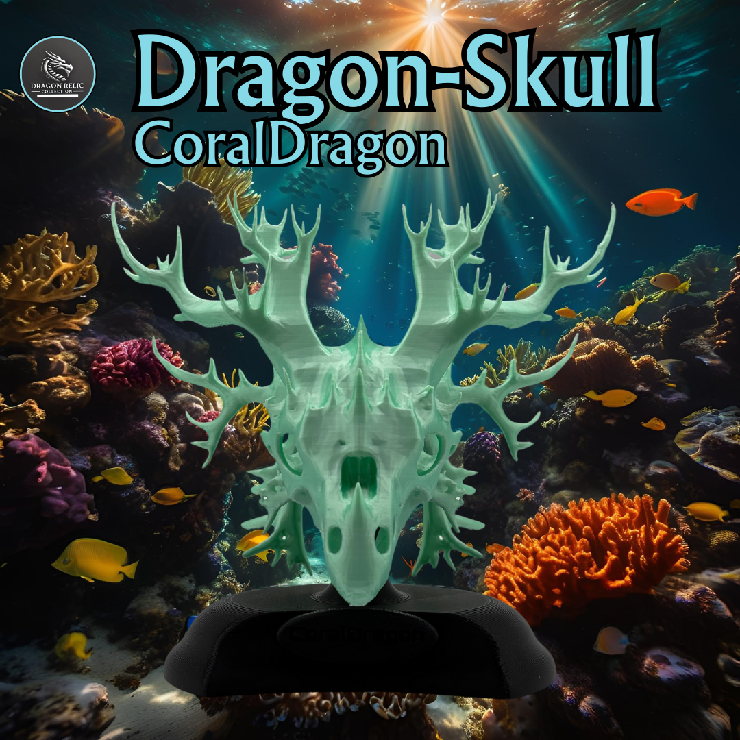 Coral Dragon Skull / Korallen Drache Schädel