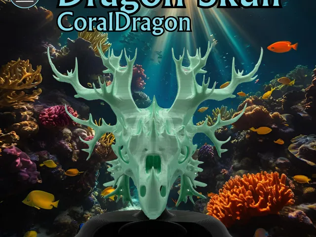 Coral Dragon Skull / Korallen Drache Schädel