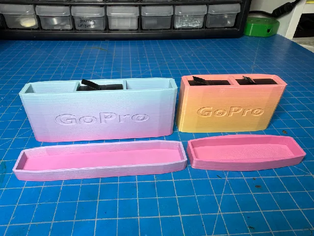 GoPro Battery Storage Case