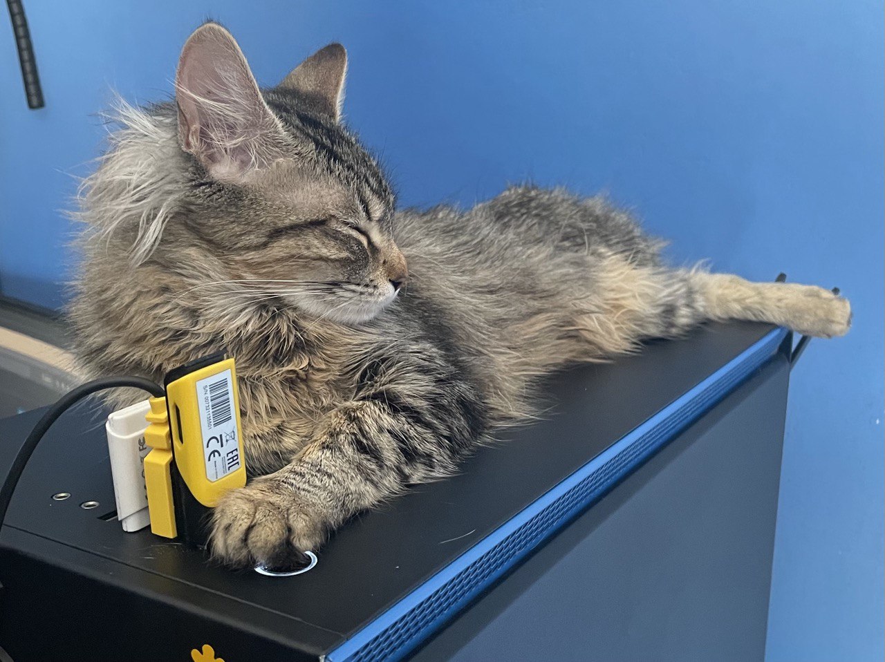 CatGuard for NZXT H710i