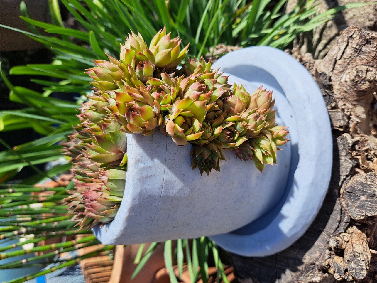 Pot cascade